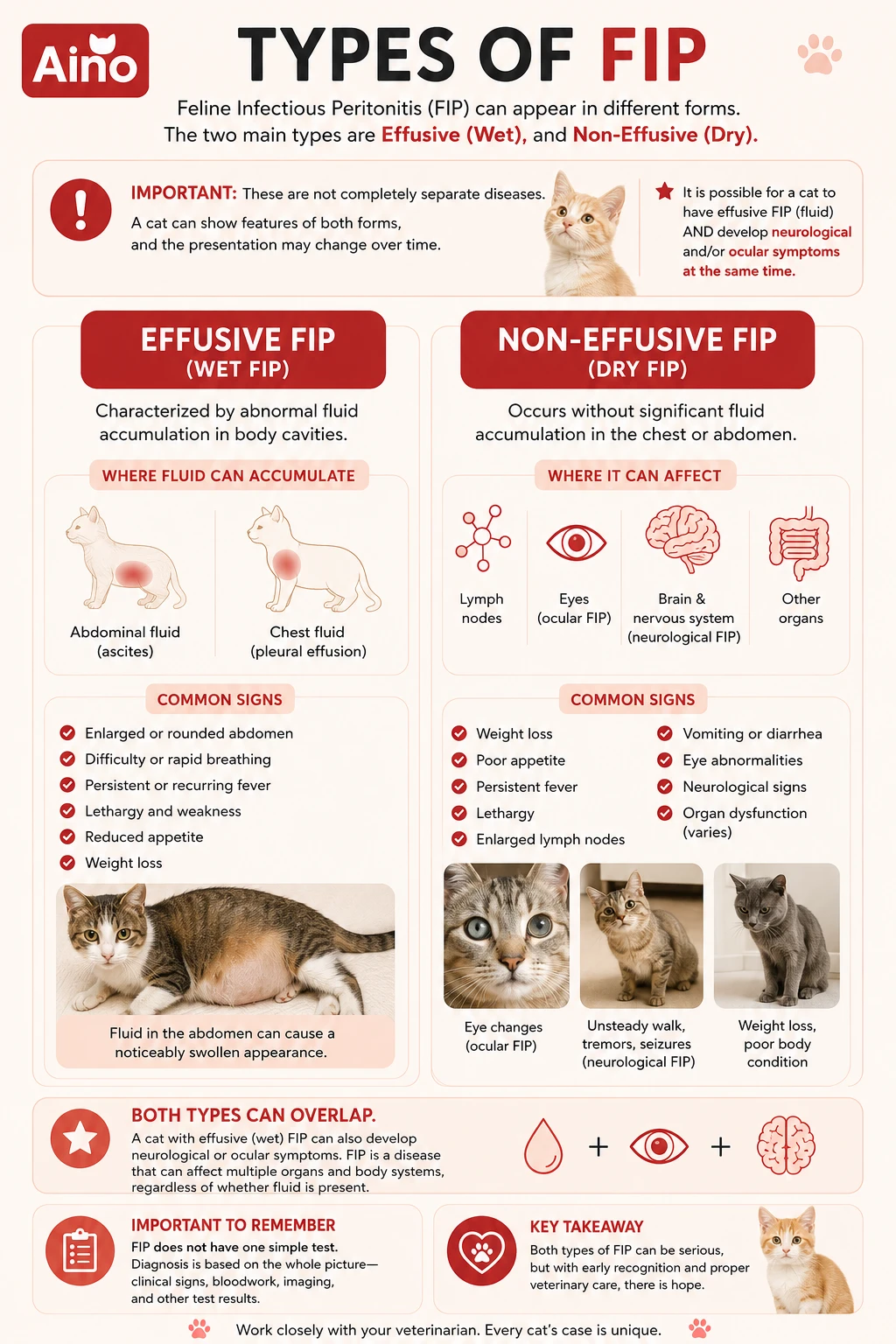 Types of fip 73564